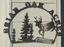 Jumping Deer - Click to enlarge
