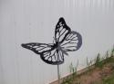 Garden Butterfly - Click to enlarge